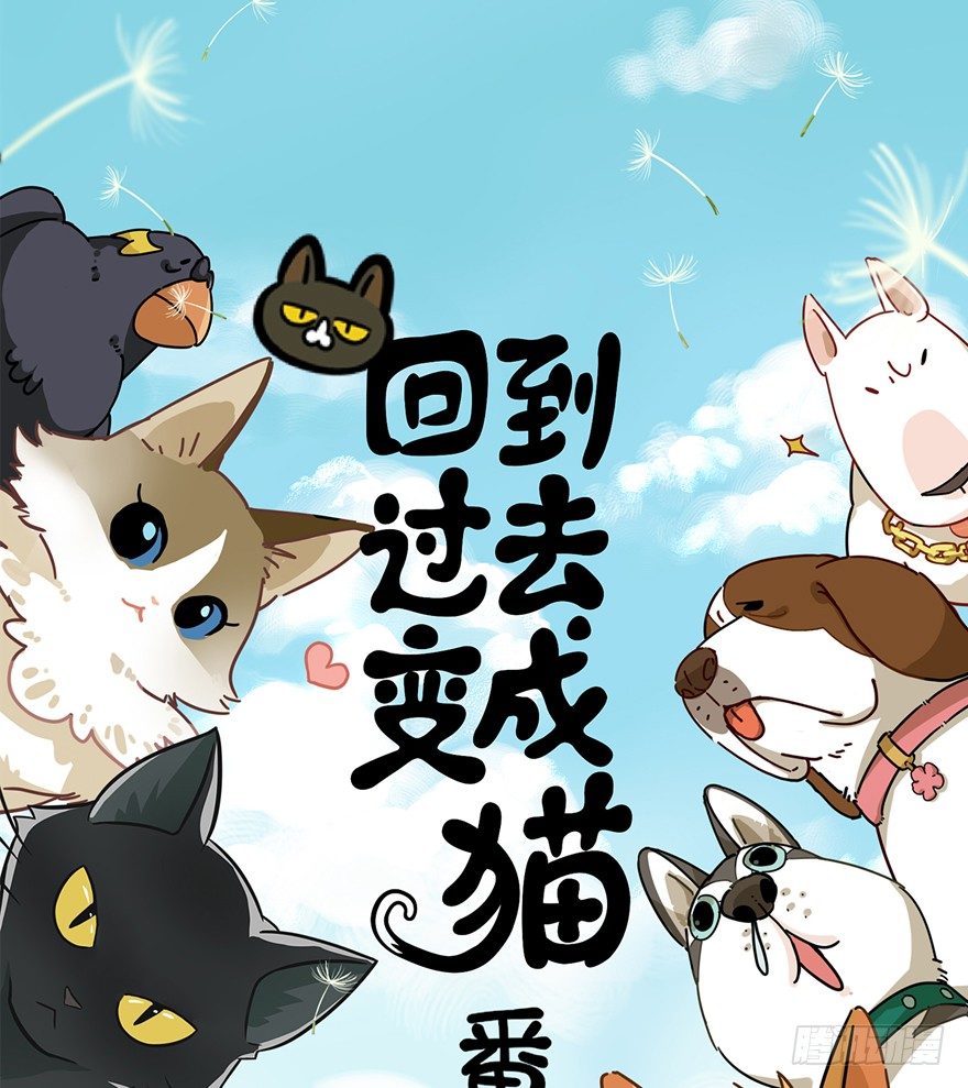 第64爪 真的胜利了吗？（上）-第70话