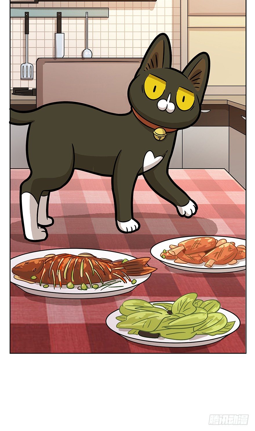 第64爪 真的胜利了吗？（上）-第70话