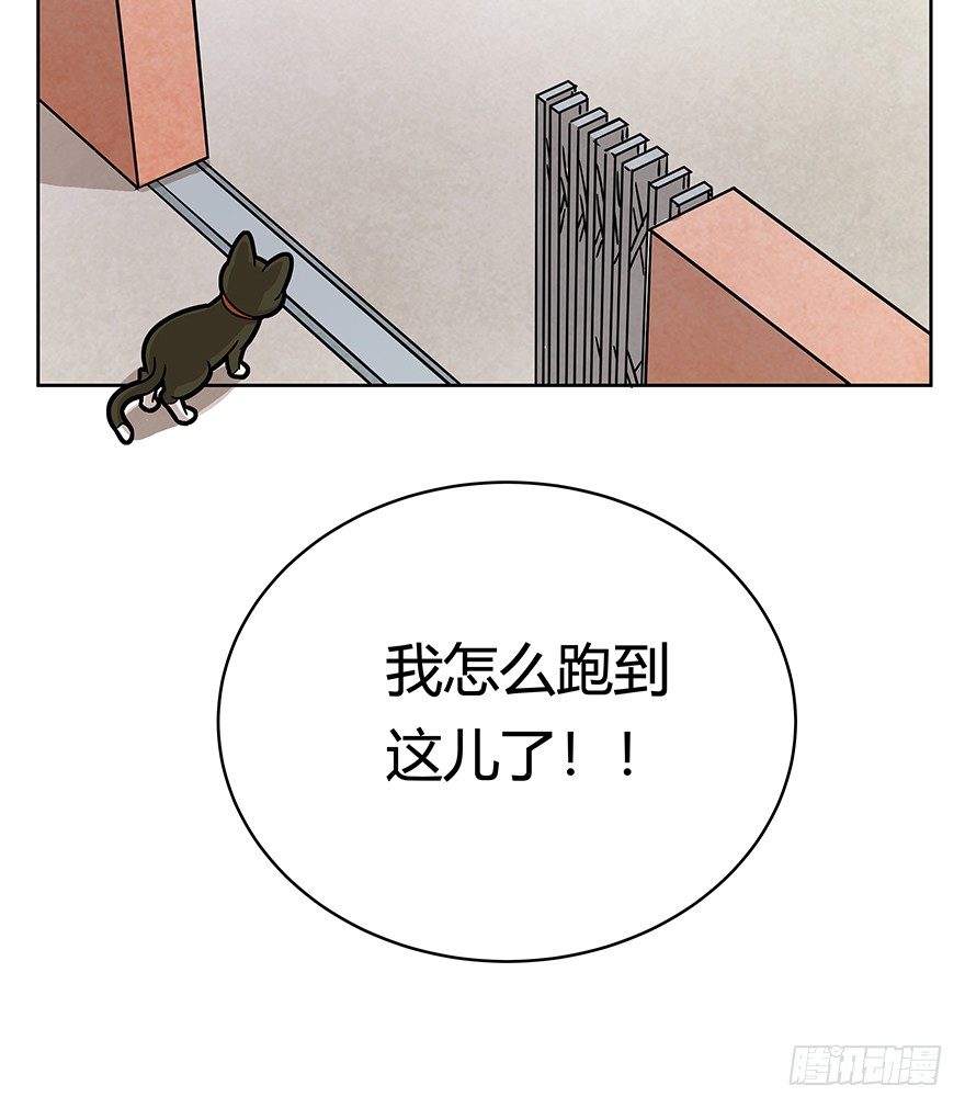 第66爪 我错了吗？-第72话