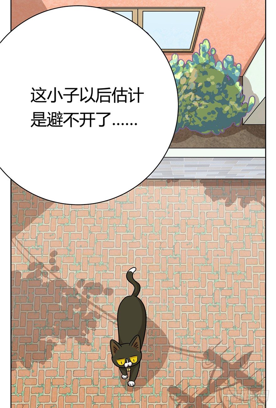 第68爪 &ldquo;和平&rdquo;协议（下）-第74话