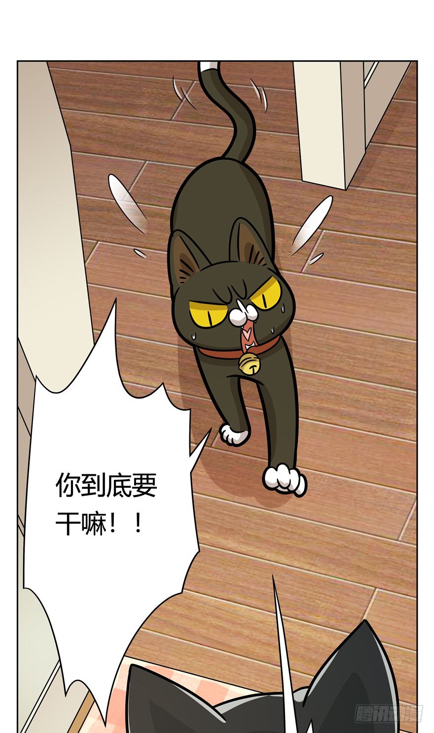 第72爪 我才是郑叹（上）-第78话