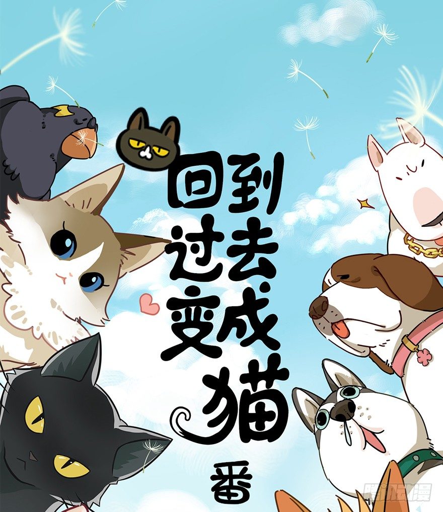 第74爪 身份之谜(1/2)-第80话