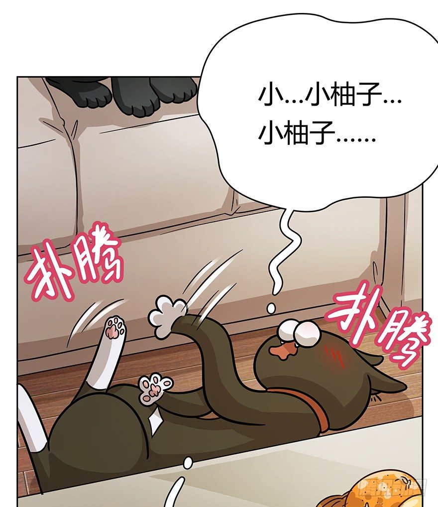 第74爪 身份之谜(1/2)-第80话
