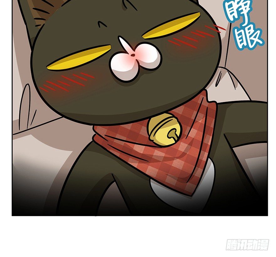 第74爪 身份之谜(1/2)-第80话