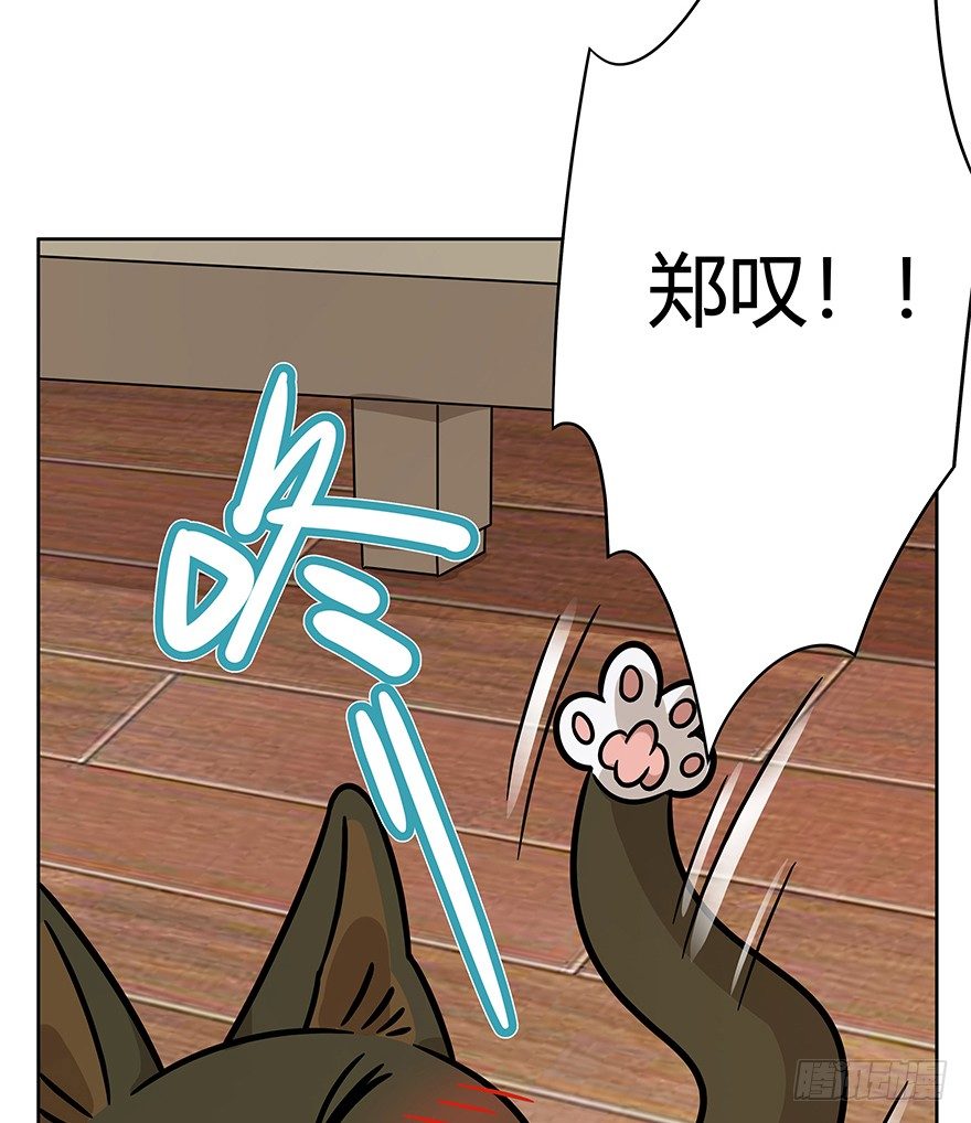 第74爪 身份之谜(1/2)-第80话
