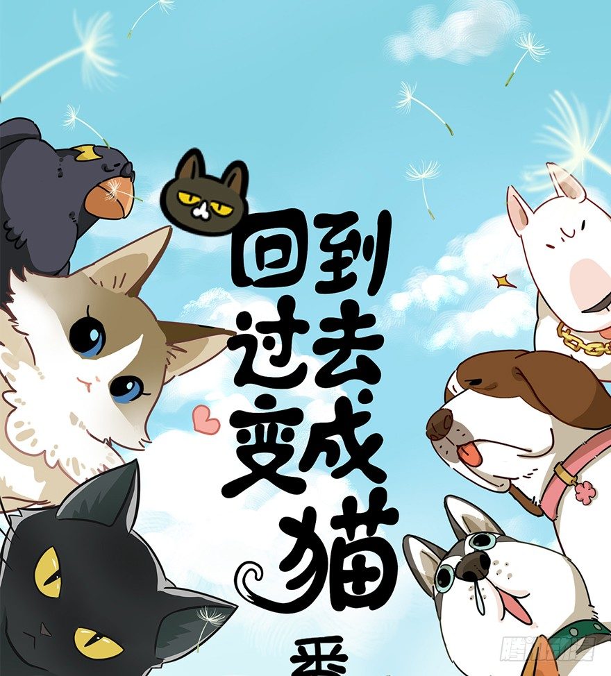 第78爪 熟悉的身影（下）-第84话