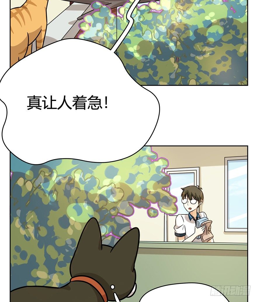 第84爪 黑呦呦出马（上）-第90话