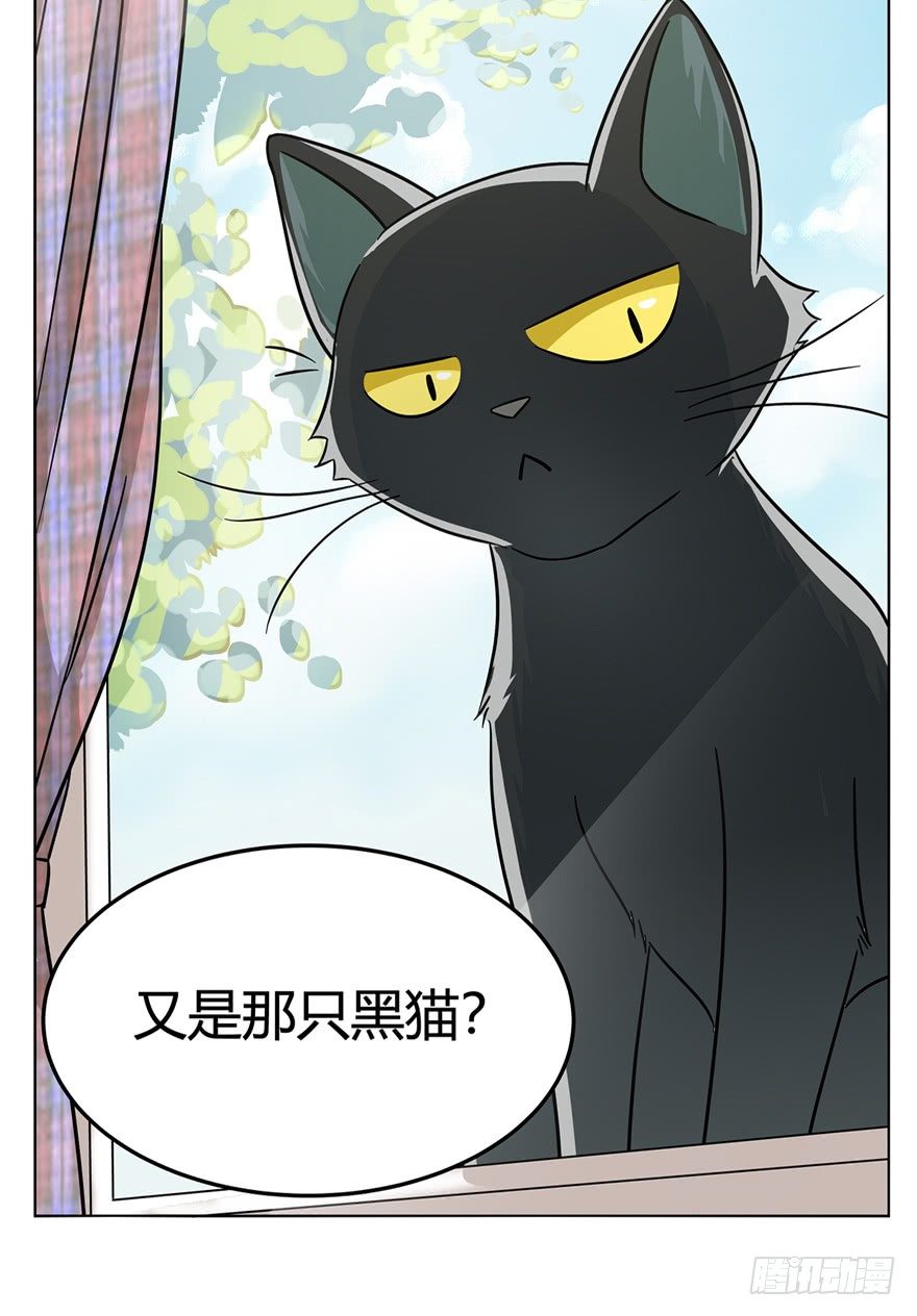 第10爪 你的饭就是我的饭-第10话