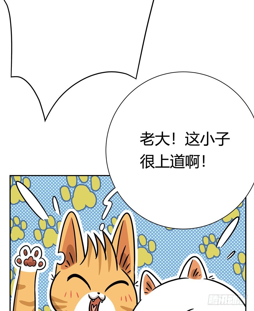 第88爪 祸水东引（上）-第94话