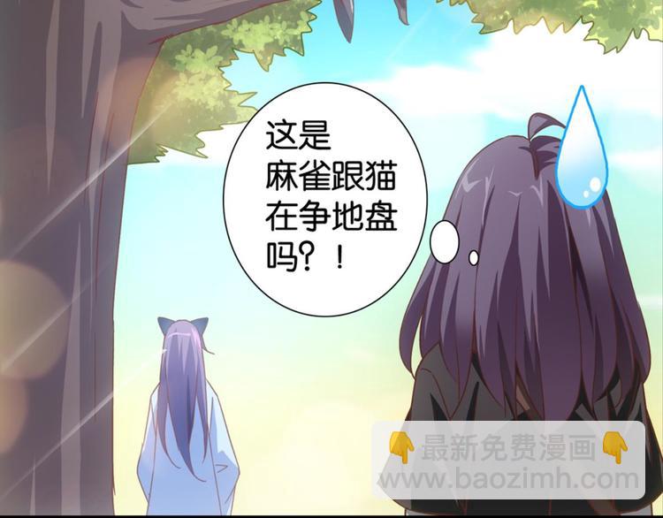第34话：麻雀记忆(1/2)-第34话