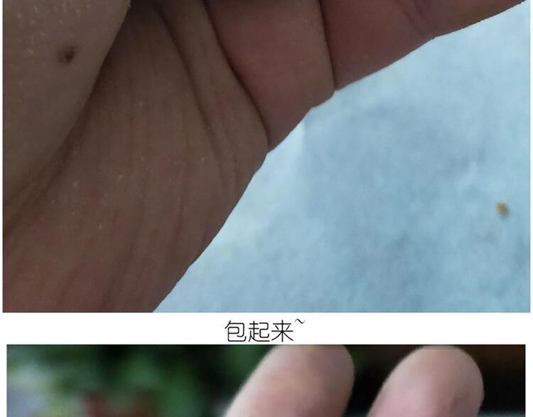 仙女的青团(1/2)-第168话
