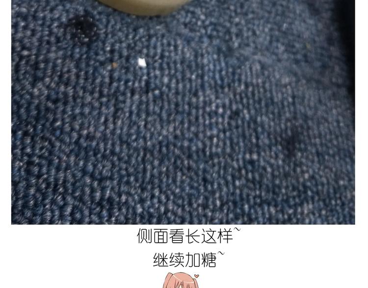 仙女的蜂窝煤(1/2)-第170话
