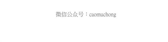 🍹繪心一笑 师傅的APP 第26页
