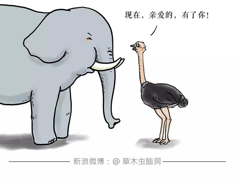 🍹繪心一笑 烹饪师傅 第32页