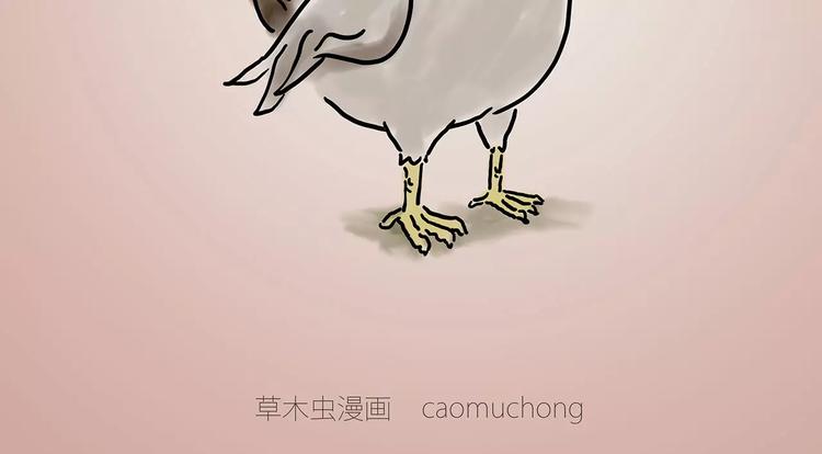 🍹繪心一笑 烹饪师傅 第9页
