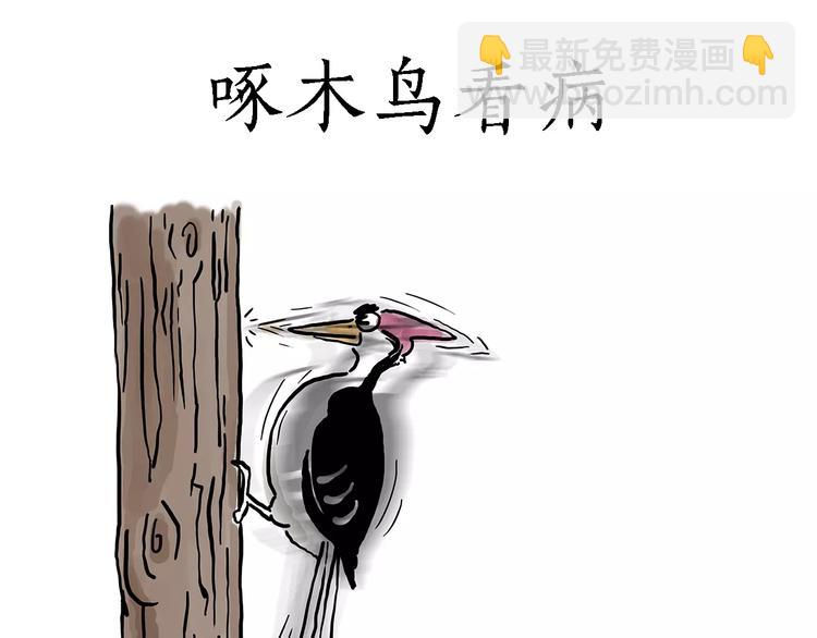 🍹繪心一笑 啄木鸟看病 第3页