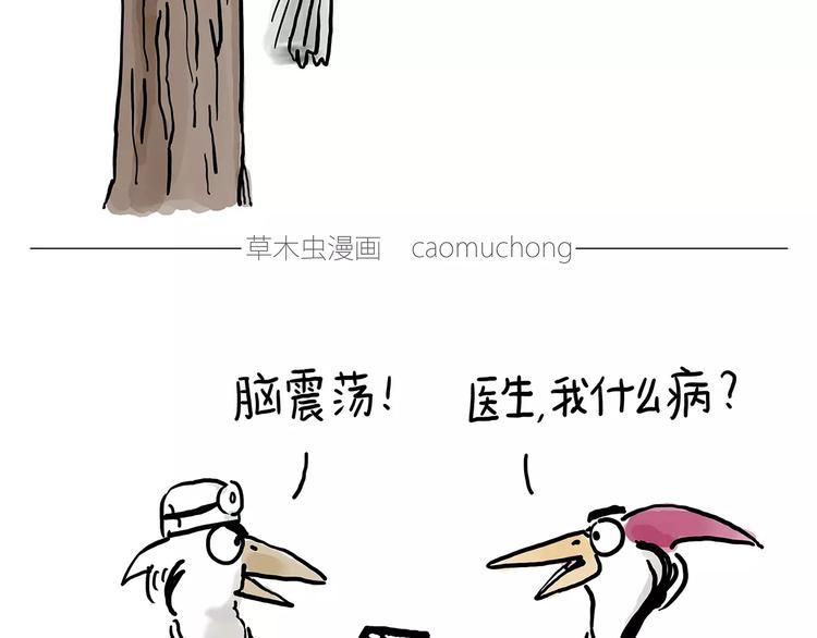 🍹繪心一笑 啄木鸟看病 第4页
