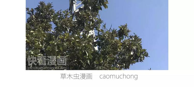 🍹繪心一笑 企鹅搬便画 第13页