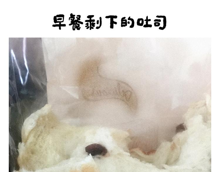 🍹繪心一笑 第248话 剑龙接孩子 第22页