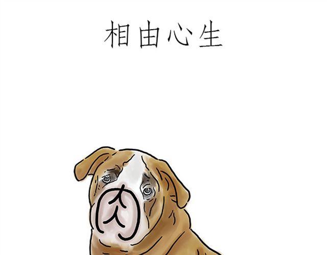 🍹繪心一笑 师傅直升机 第13页