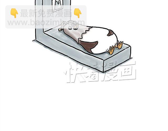 🍹繪心一笑 师傅直升机 第16页