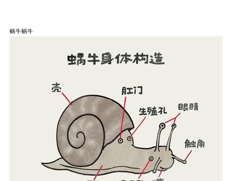 🍹繪心一笑 第346话 脸上掉下个取经人 第13页