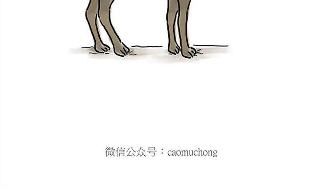 🍹繪心一笑 师傅钓鱼 第20页