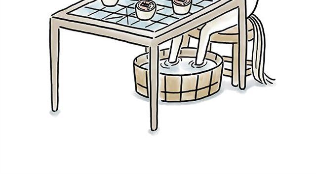 🍹繪心一笑 师傅搞怪 第30页