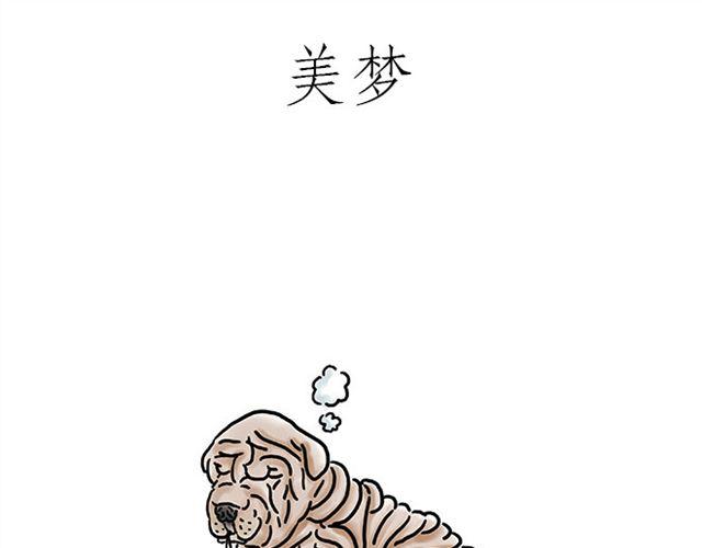 🍹繪心一笑 师傅的马戏 第9页