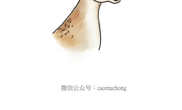 🍹繪心一笑 师傅抢红包 第28页