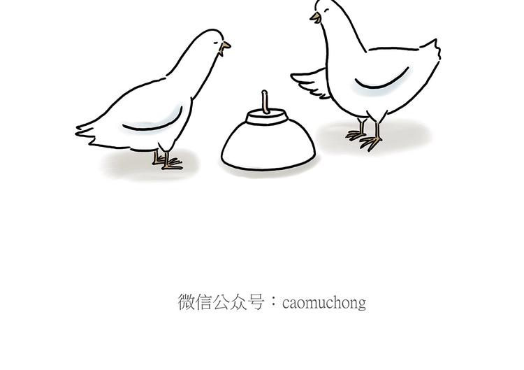 🍹繪心一笑 巧手小马 第20页