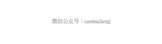 🍹繪心一笑 卖糕的师傅 第25页