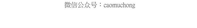 🍹繪心一笑 卖糕的师傅 第37页
