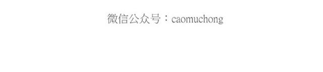 🍹繪心一笑 卖糕的师傅 第8页