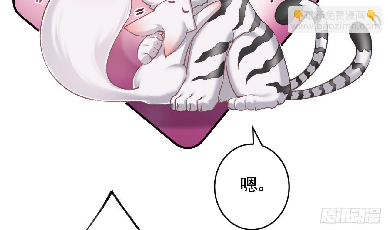 第11.5话  看看大老虎吧(1/2)-第14话