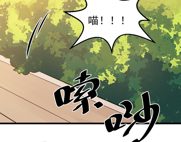 第10话  偶遇猫咪~？！(1/2)-第10话