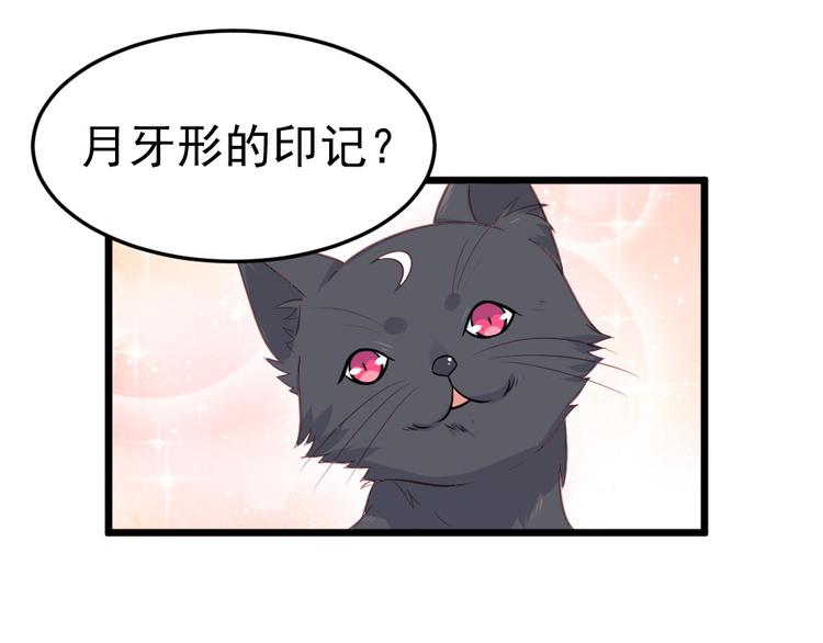 第10话  偶遇猫咪~？！(1/2)-第10话