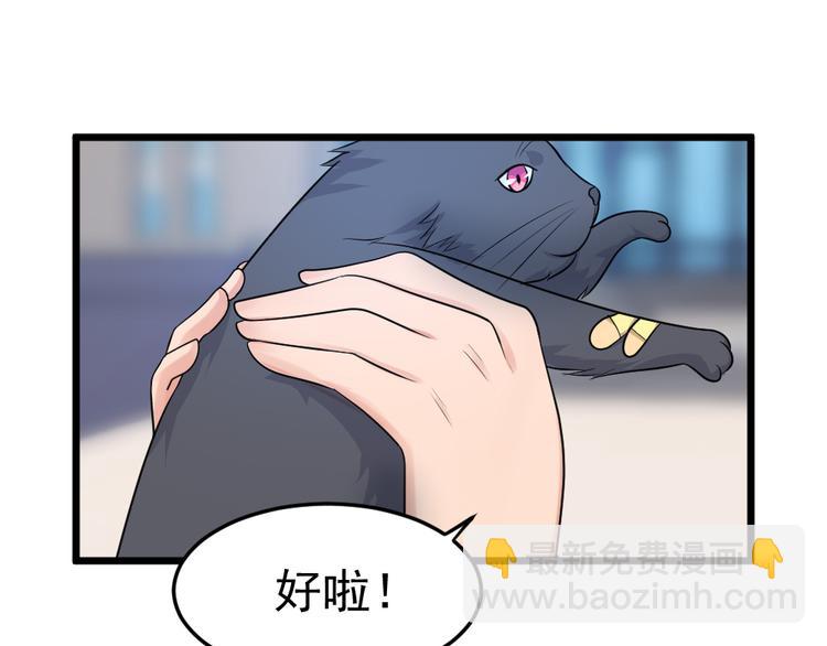 第10话  偶遇猫咪~？！(1/2)-第10话
