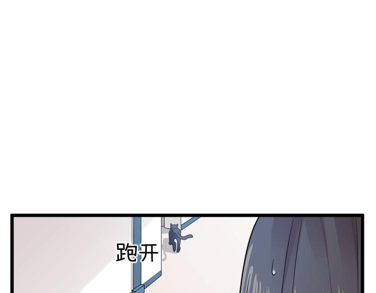 第10话  偶遇猫咪~？！(1/2)-第10话