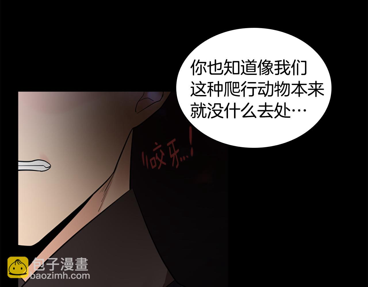 🍹狐狸的枷锁 第157话 解救行动 第37页