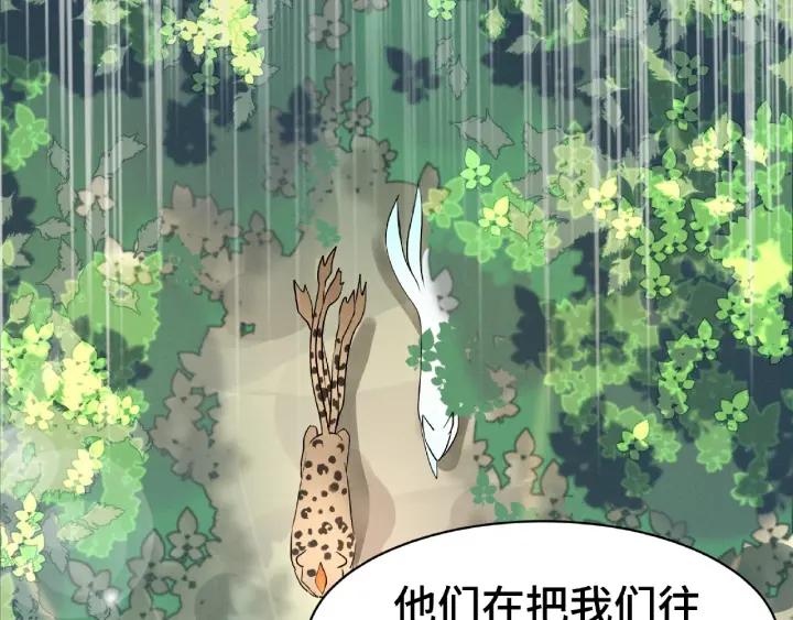 61话 包围圈（上）(1/2)-第102话
