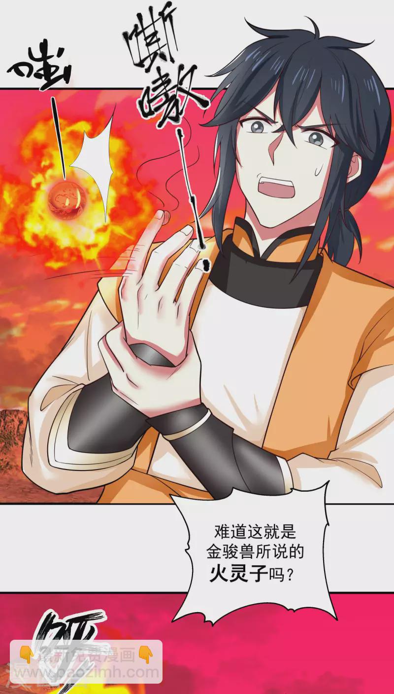 🍹混沌丹神 第216话 火灵子 第5页
