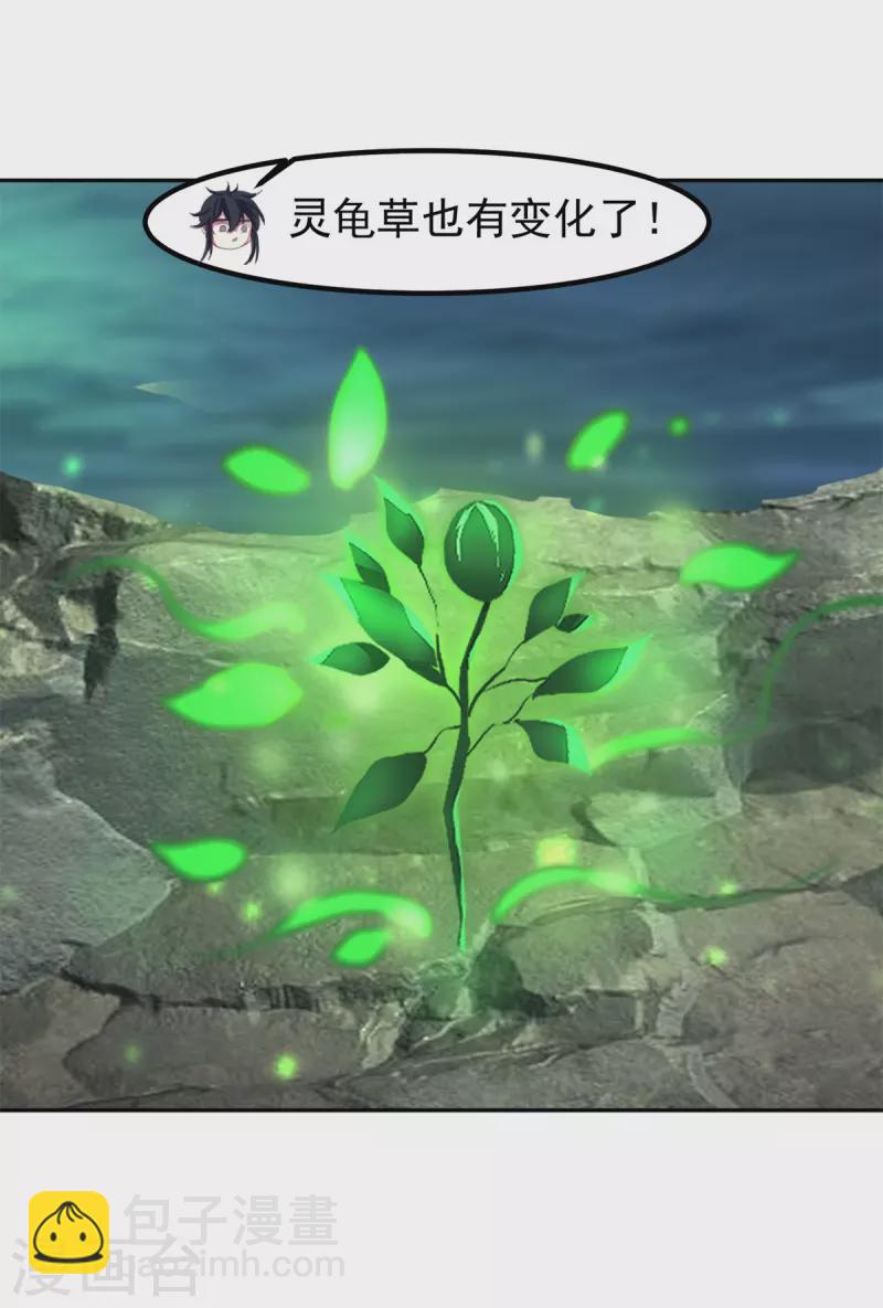 🍹混沌丹神 第334话 灵龟果 第12页