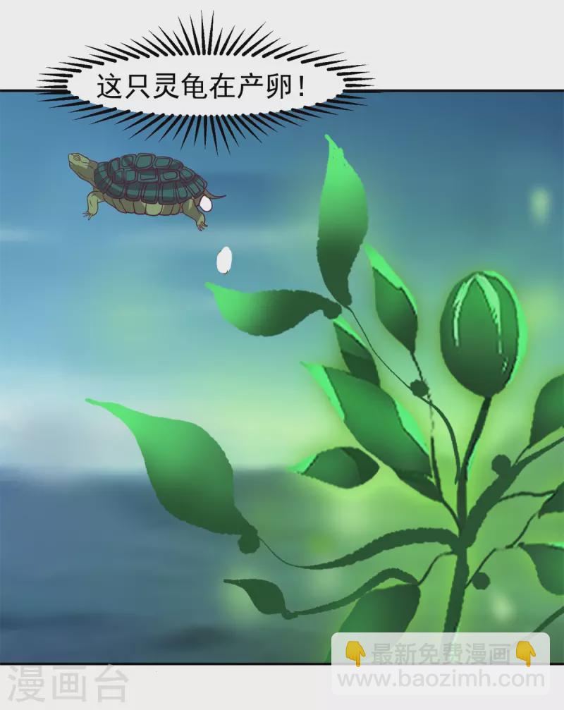 🍹混沌丹神 第334话 灵龟果 第14页