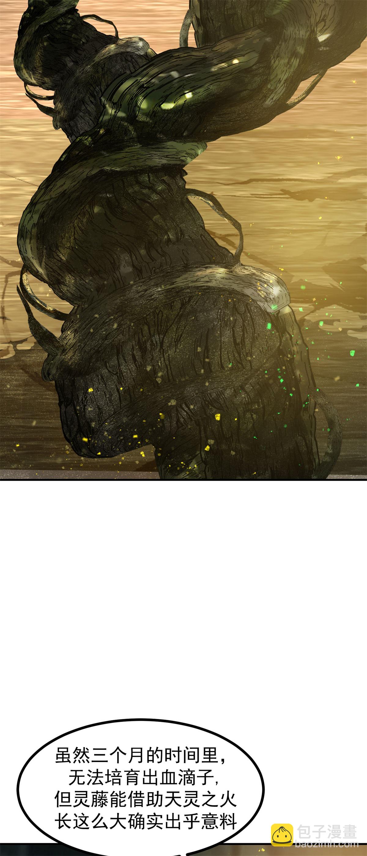 🍹混沌丹神 第375话 灵藤成长 第14页