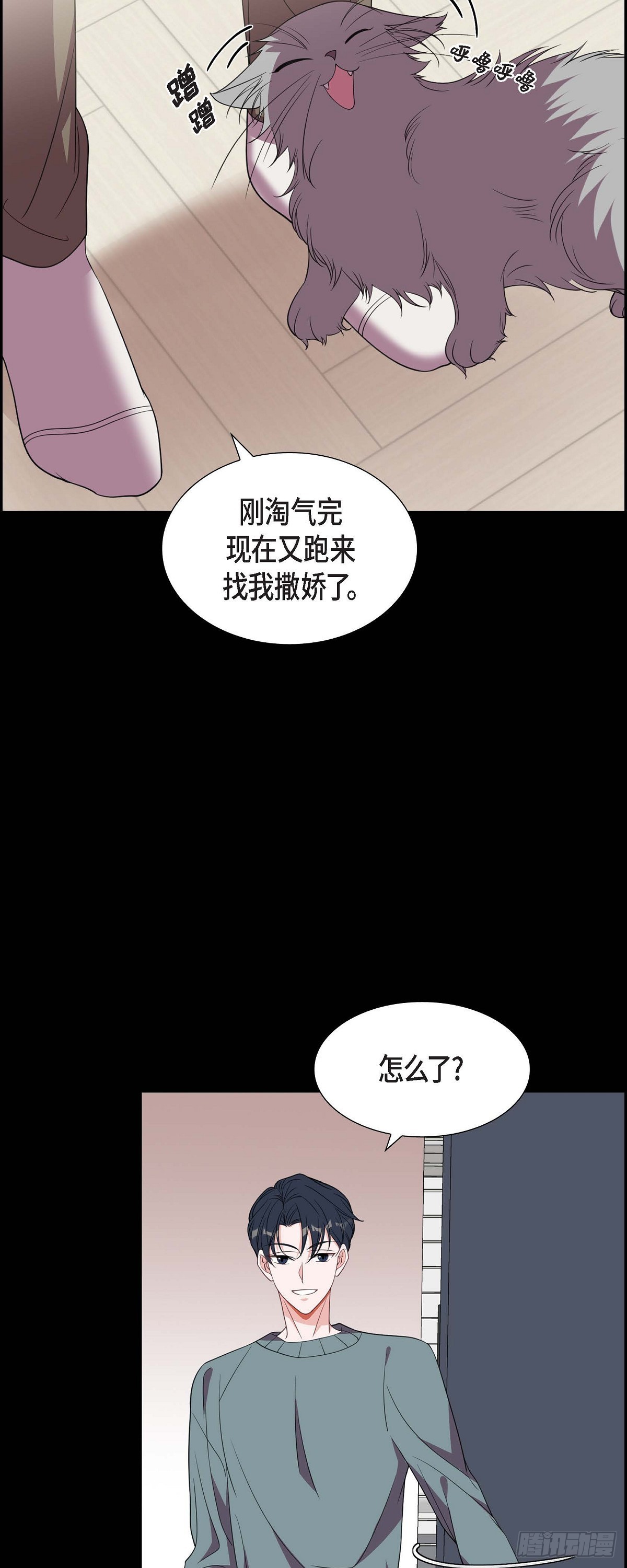 015.小猫咪-第16话