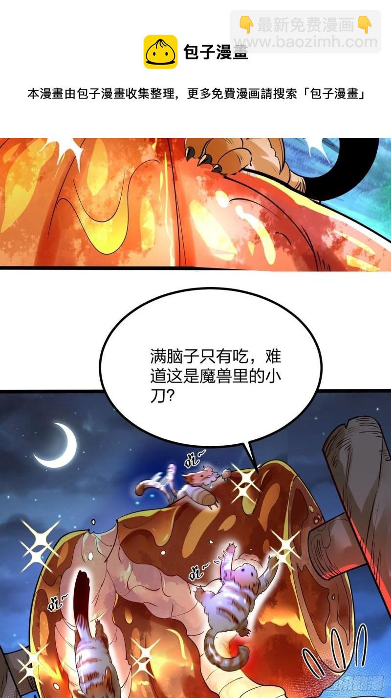 66、美女不够，萌宠来凑(1/2)-第66话
