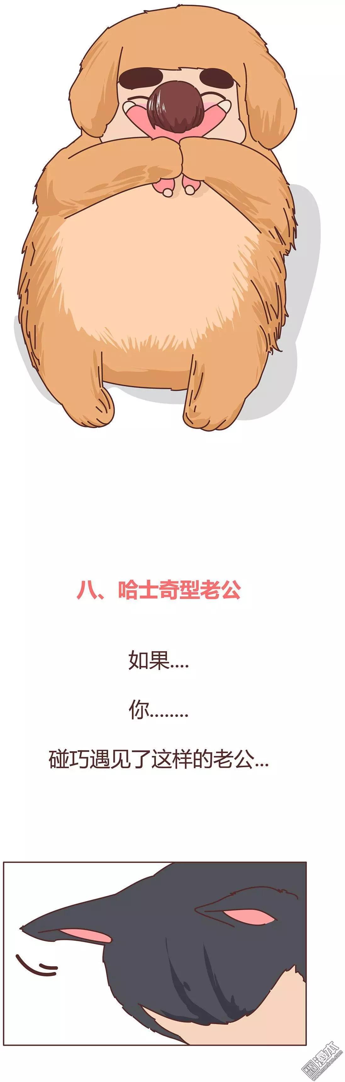 🍹婚后80 第329回 犬系老公大分类 第10页
