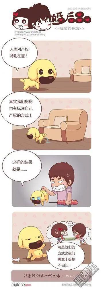 🍹婚后80 第6回 新法之夜 第8页