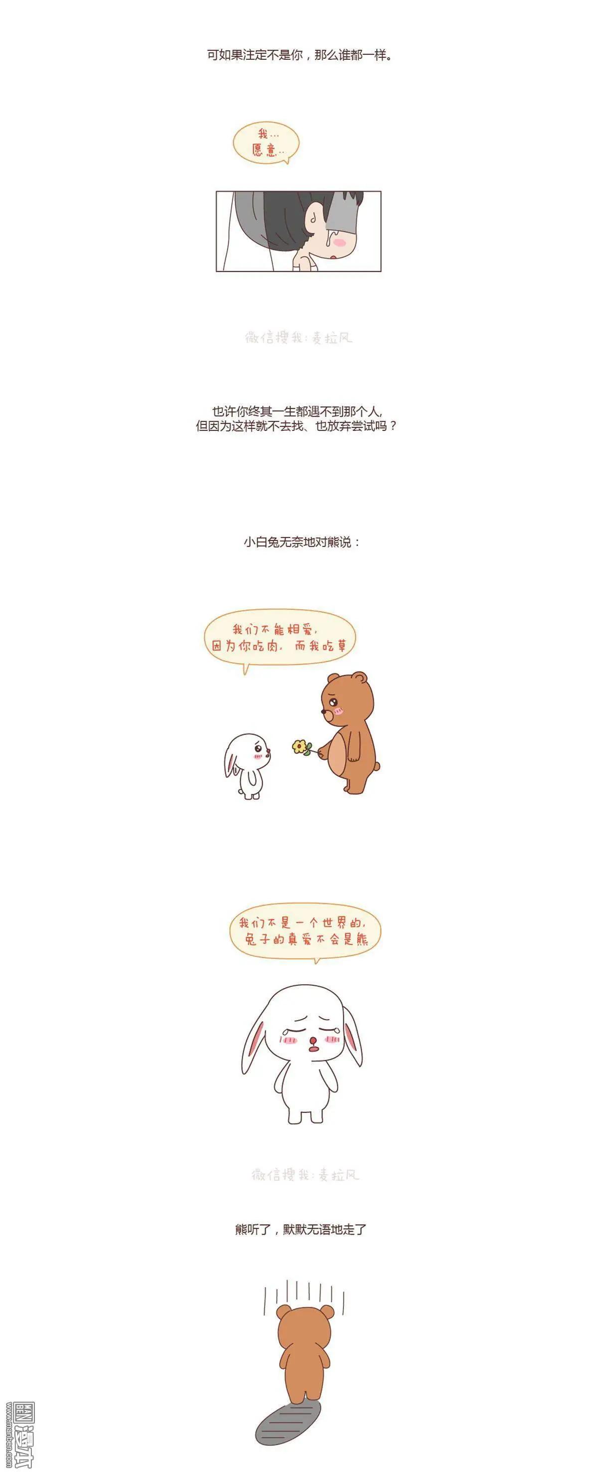 🍹婚后80 第81回 也许终其一生，也遇不到那个人 第4页